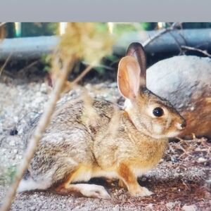 Meet your Posher, Nostalgia